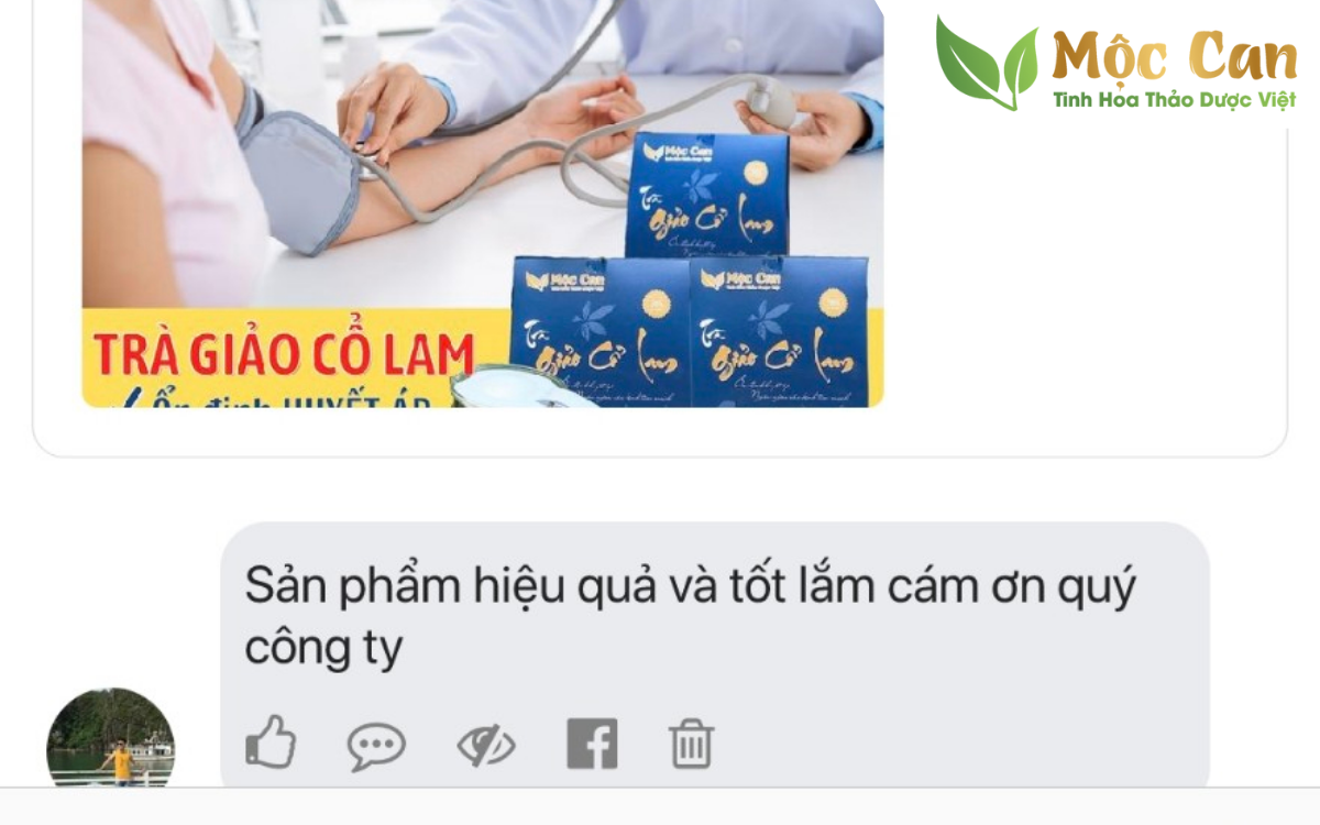 Tân Vũ - Trà giảo cổ lam Mộc Can 1